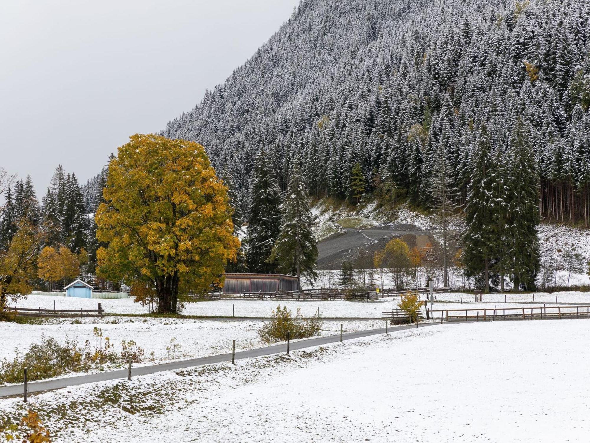 Chalet Apartment In Saalbach Hinterglemm Екстериор снимка